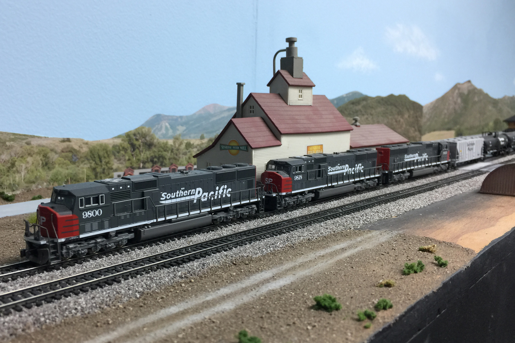 N Scale freight train and layout by Don Fowler, Master Model Railroader®, San Diego Division member.
